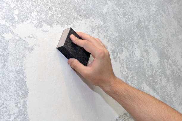 Best Forensic Mold Investigation  in Manchester, MD