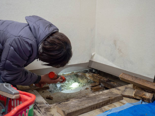 Best Post-Construction Mold Inspection  in Manchester, MD