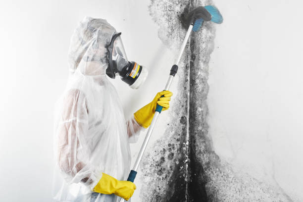Best Industrial Mold Remediation  in Manchester, MD