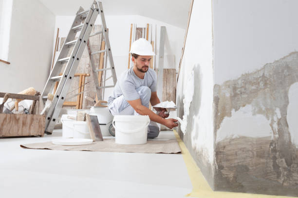 Best Basement Mold Removal  in Manchester, MD