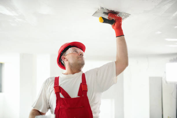 Manchester, MD Mold Removal Company