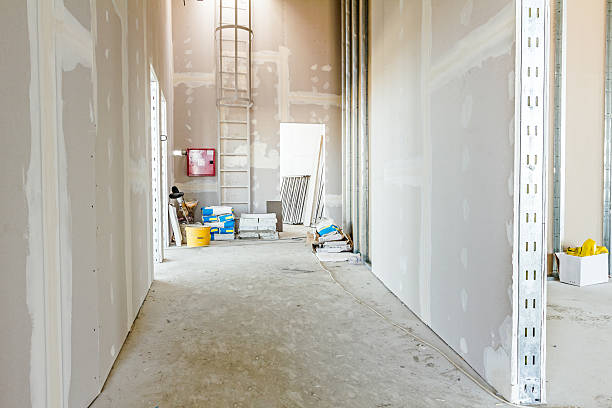Best Environmental Consulting for Mold Prevention  in Manchester, MD